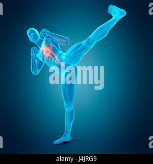 Anatomie de personne faisant high kick, illustration. Banque D'Images