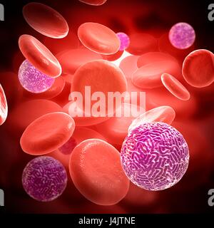 Illustration de particules de virus Sindbis dans le sang. Banque D'Images