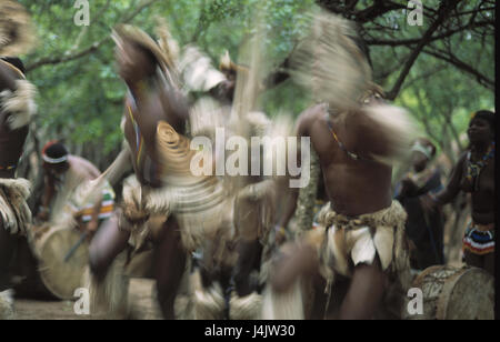 L'Afrique du Sud, Kwazulu-Natal, Damazulu, village de zoulou, les sections locales, spectacle de danse, le modèle ne libération RSA, Afrique, Afrique du Sud, Kwazulu Natal, village, habitant, de l'Afrique, les Africains, les non-blancs, danse, danse, vêtements, traditionnellement, les performances, le folklore, la culture, les traditions, l'endroit d'intérêt Banque D'Images