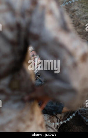 Ecr. Maria Daume, peloton 4001, Papa, 4e compagnie du bataillon d'entraînement des recrues, rampe sous barbelé pendant un cours sur l'approvisionnement de munitions le creuset, le 5 janvier 2017, sur l'Île Parris, L.C. Daume est né dans une prison russe et portées à Long Island, New York), à l'âge de 4 ans lorsqu'elle et son frère jumeau ont été adoptées. Le creuset est la formation des recrues de l'événement culminant de 54 heures qui met à l'épreuve tout recrues ont appris depuis leur arrivée à Parris Island. L'épreuve se termine par une épreuve épuisante 9-mile randonnée avant de recevoir les recrues, Eagle Globe et d'emblème, signifiant la tran Banque D'Images