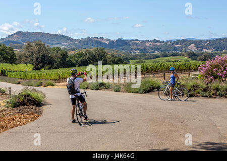 Les touristes, couple, tour en vélo, entreprise vinicole Hanna, Healdsburg, Alexander Valley, Sonoma County, Californie Banque D'Images
