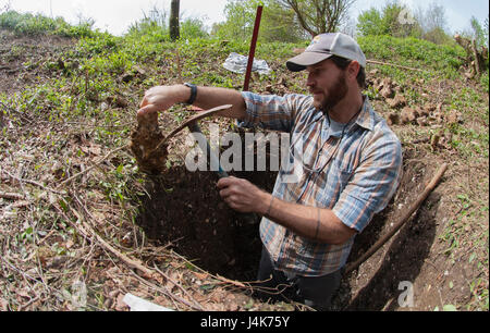 BOULOGNE-SUR-MER, France - M. Kevin Dalton, un archéologue avec la Défense POW/MIA Agence Comptable (DPAA), examine une pierre creusée au cours d'une mission de récupération DPAA dans une forêt près de Boulogne sur Mer, France le 2 mai 2017. La DPAA équipe est à la recherche d'un aviateur de l'Armée de l'air de l'armée américaine qui a tragiquement perdu la vie en volant son P-47D avion sur Octobre de 1943 au cours de la Seconde Guerre mondiale. (U.S. Air Force photo par TSgt Brian Kimball) Banque D'Images