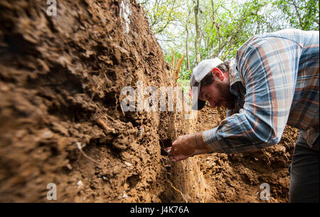 BOULOGNE-SUR-MER, France - M. Kevin Dalton, un archéologue avec la Défense POW/MIA Agence Comptable (DPAA), examine un profil de sol pour les éventuels éléments de preuve lors d'une mission de récupération DPAA dans une forêt près de Boulogne sur Mer, France le 2 mai 2017. La DPAA équipe est à la recherche d'un aviateur de l'Armée de l'air de l'armée américaine qui a tragiquement perdu la vie en volant son P-47D avion sur Octobre de 1943 au cours de la Seconde Guerre mondiale. (U.S. Air Force photo par TSgt Brian Kimball) Banque D'Images