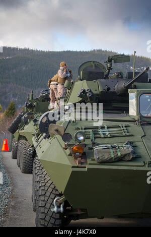 Les Marines américains avec 4e Bataillon de reconnaissance blindé léger préparer leurs LAV-25 Véhicule blindé léger de convoi au cours de l'exercice de la mobilité stratégique STRATMOBEX (17) près de Stjørdal, la Norvège, le 3 mai 2017. Marines préparé l véhicules de convoi, la réunion simultanée de Marine Corp Dégrossissement en Norvège (MCPP-N) mouvement annuel obligatoire. L'avant pré positionnement de matériel de la MCPP-N réduit les temps de réaction et élimine la nécessité de déployer des équipements à partir d'emplacements dans la zone continentale des États-Unis. (U.S. Marine Corps photo par Lance Cpl. Victoria Ross) Banque D'Images