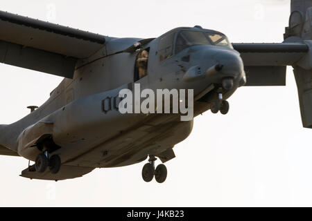 Un Corps des Marines américains, chef d'équipe à rotors basculants avec le milieu marin - Escadron 364 à rotors basculants (VMM-364), des pairs hors de la porte d'un MV-22 Osprey, au cours d'un exercice de formation conjointe, avec la lutte contre les techniciens médicaux de l'Hôpital de soutien au combat du 86e ainsi que les techniciens d'urgence médicale de groupe de soutien de secteur - Koweït, des services d'urgence au Camp Arifjan, au Koweït le 8 mai 2017. (U.S. Photo de l'armée par le Sgt. Christopher Bigelow) Banque D'Images