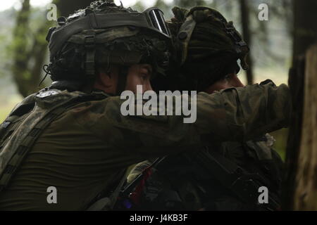 Des soldats polonais du 1er Bataillon d'infanterie montée, 17e Brigade mécanisée observer leur secteur d'incendie lors d'une agression simulée au cours de Sabre à la jonction 17 Hohenfels Domaine de formation, l'Allemagne, le 8 mai 2017. Sortie 17 Sabre est l'armée américaine Europe's Cavalry Regiment 2d centre de formation de combat de l'exercice de certification, qui aura lieu au Centre de préparation interarmées multinationale à Hohenfels, Allemagne, Avril 25-Mai 19, 2017. L'exercice a pour but d'évaluer l'état de préparation du régiment pour mener des opérations terrestres unifiée, avec un accent particulier sur la transition de répétitions Banque D'Images