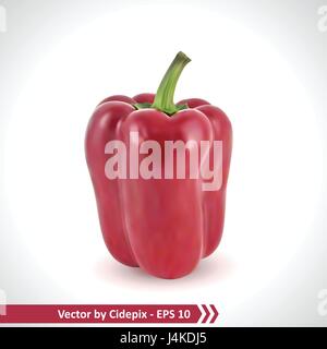 Mesh gradient vector Illustration d'un Poivron rouge photo réaliste Illustration de Vecteur