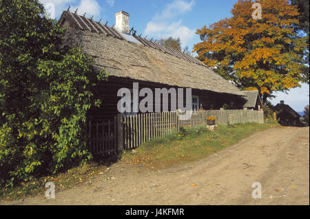 L'Estonie, le parc national de Lahemaa, Altja, maison de bois, Dorfstrasse, automne Europe, Nordosteuropa, les États baltes, l'Eesti Vabariik, côte de la mer Baltique, réserve naturelle, village de pêcheurs, village, construction, maisons, maison, maison d'habitation, la pêche maison, chalet en bois, toit de chaume, reetgedeckt, vieille, traditionnellement, historiquement, clôture, rue, débouclée, rurale, arbres, saison, autumnally Banque D'Images