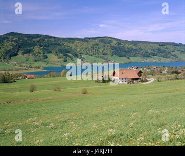 L'Autriche, chambre de sel, décor, crazy lake, l'été l'Europe, marge Salzbourg, Autriche supérieure, hill paysage, paysage, lac, terrain 'lac' de moine ermite, nature, repos, silence, Idyll Banque D'Images