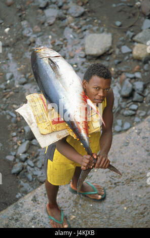 L'archipel des Comores, Anjouan de l'île, Mutsamudu, pêcheur, épaule, thon, porte, à une vue de haut niveau, d'en haut, le modèle ne libération ! Afrique, océan Indien, l'île de l'état, l'économie, la pêche à la ligne, pêche,, l'homme, jeune, non blanche, de teint basané, de teint basané, travail, profession, de l'alimentation, du poisson, des captures, fraîchement- Banque D'Images