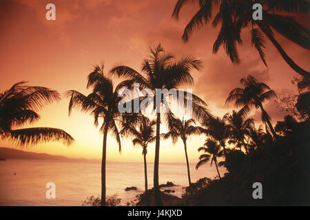 L'archipel des Comores, Anjouan de l'île, Mutsamudu, palm beach, silhouette, île de l'état d'incandescence, Afrique, océan Indien, mer, plage, côte, Nzwani, palmiers, vacances de rêve, plage de rêve, Destination, destination de vacances, conception, souhait, désir, rêve, romantisme, voyage, réglage couleur, couleur orange Banque D'Images