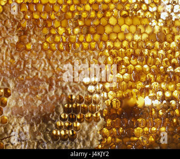 Miel Nature morte, photographie d'objet, le miel, la production de miel, miel naturel, riche en calorie, produit naturel, douce, naturelle, de l'alimentation, de l'alimentation, de la nutrition, d'abeilles, de miel en rayon, d'abeilles, miel Banque D'Images