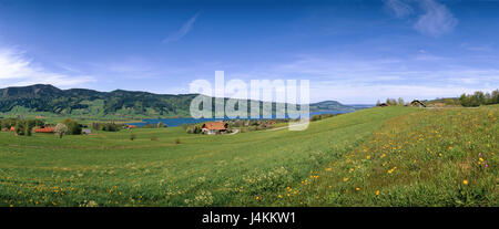 L'Autriche, chambre de sel, décor, crazy lake, l'été l'Europe, marge Salzbourg, Autriche supérieure, hill paysage, paysage, lac, terrain 'lac' de moine ermite, nature, repos, silence, Idyll Banque D'Images