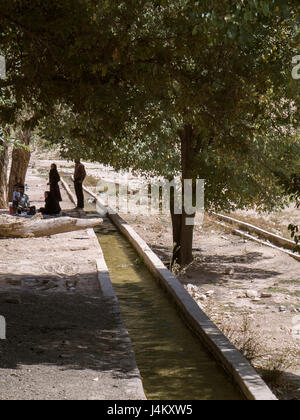 Bénéficiant d''un arrêt pique-nique familial à l'ombre des arbres poussant le long d'un canal d'eau, la province du Fars, Iran Banque D'Images