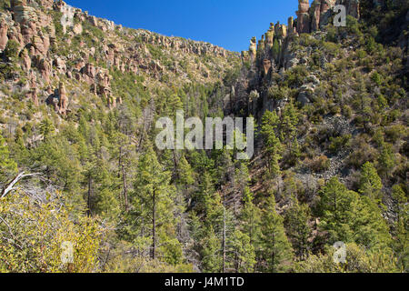 Vue du sentier en boucle Echo Canyon, Monument National Chiricahua, Arizona Banque D'Images