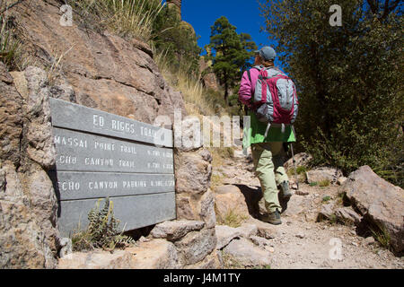 Randonneur sur Sentier en boucle Echo Canyon, Monument National Chiricahua, Arizona Banque D'Images