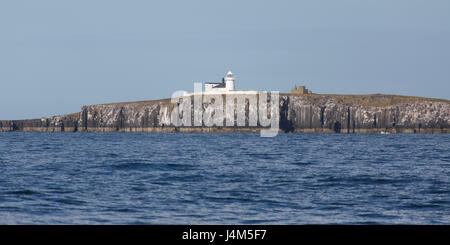 Inner Farne phare au sommet de la falaise de la Iles Farne au large de la côte de Northumberland en Angleterre. Banque D'Images
