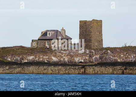 Cottage et Castell's Tower on Inner Farne Island, au large de la côte de Northumberland en Angleterre. Banque D'Images