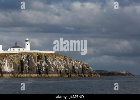 Inner Farne phare au sommet de la falaise de la Iles Farne au large de la côte de Northumberland en Angleterre. Banque D'Images
