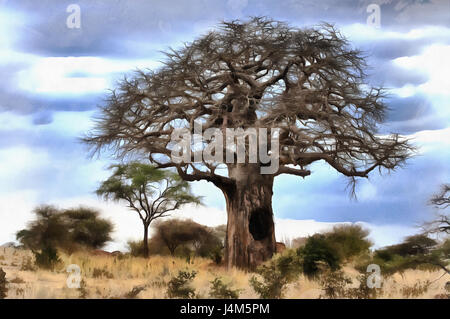 Peinture colorée de Baobab (Adansonia digitata), Parc national de Tarangire, Tanzanie Banque D'Images