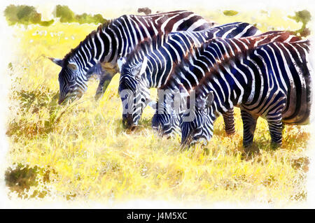 Quagga (Equus zebra), Ngorongoro Conservation Area, Tanzania Banque D'Images