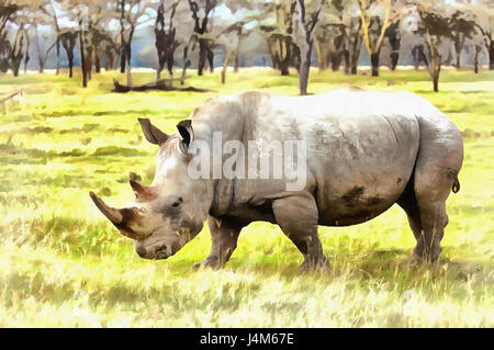 Le rhinocéros blanc (Ceratotherium simum) peinture colorée, Parc national du lac Nakuru, Kenya Banque D'Images