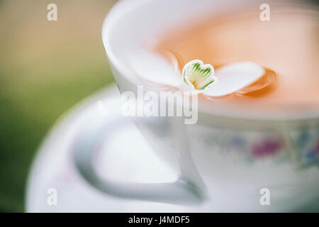 Close up of flower floating in plateau Banque D'Images