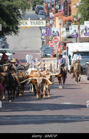 Ft Worth Texas Stock Yards Cowboy Cattle Banque D'Images