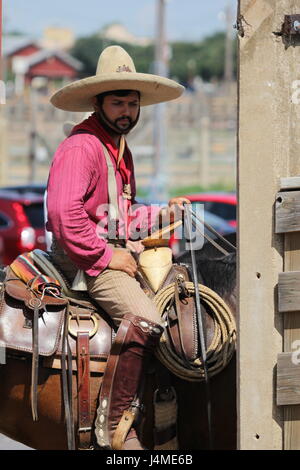 Ft Worth Texas Stock Yards Cowboy Cattle Banque D'Images