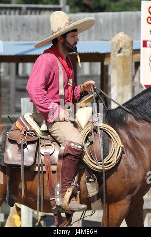 Ft Worth Texas Stock Yards Cowboy Cattle Banque D'Images