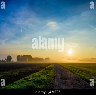 Image automne panorama pittoresque coloré d'une épopée glorieuse automne brouillard lever du soleil,campagne,chemin vers le soleil, l'horizon,ciel bleu,arbres ,nuages brouillard Banque D'Images