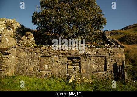 Vieux paysans derelict cottage, Parc National de Snowdonia, Eryri Wales UK Banque D'Images