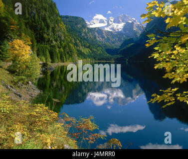 L'Autriche, Haute Autriche, Gosau, Gosausee, pierre toit des montagnes, de l'Europe de l'automne, chambre de sel, paysage de montagne, montagne, Alpes, Alpes du nord de la chaux, pierre de toit, sommet, neige, neige, lac de montagne, lac, surface de l'eau, à l'image, paysage, nature, repos, silence, Idyll, saison, autumnally Banque D'Images