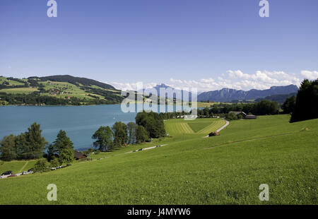 L'Autriche, Haute Autriche, crazy lake, paysage de montagne, l'été, chambre de sel, montagnes, Montagnes, Lac, montagne Schaf, lac de montagne, destination, Tourisme, vacances, Banque D'Images