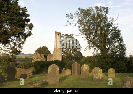 L'Irlande, Leinster, comté de Wexford, Fougères, Saint Mary's Abbey, Banque D'Images