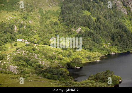 L'Irlande, Munster, comté de Cork, péninsule de Beara, col Healy, rue, Glanmore saumure, lac, Banque D'Images