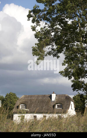 L'Irlande, Connacht, Galway county, Kinvara, maison au toit de chaume, Banque D'Images