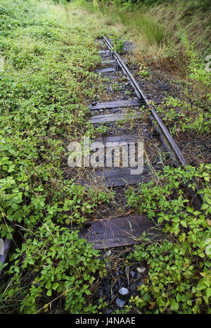 La voie de chemin de fer, désaffectée, devenir, envahi par les voies, rails, des voies de chemin de fer, rails de trajectoire, rouillé, vieux, trajectoire, chemin de fer, Grandir ensemble, sortie, l'herbe, d'arbustes, s'exécute, sauvages croître effrénés, terminus, passé, trajectoire, chemin de fer, Banque D'Images