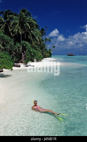 De tubas, Maldives, l'île, la mer, palm beach Banque D'Images