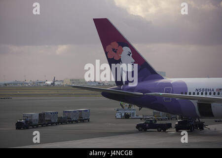 Les USA, Hawaii, Oahu, Honolulu, l'Islande, de l'aéroport train vol, détail, les îles Hawaii, destination, voyage, voyage en avion, voiture, air liner, oar arrière, hibiscus blossom, Hawaïen, cloudies, terrain d'atterrissage, Banque D'Images