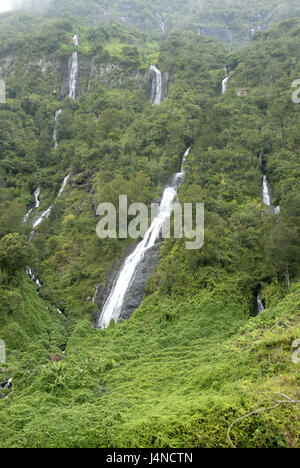 Montagne, forêt vierge, cascades, la vallée de Takamaka, La Reunion, Banque D'Images