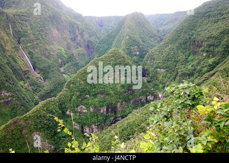 Montagnes, forêt vierge, cascades, la vallée de Takamaka, La Reunion, Banque D'Images
