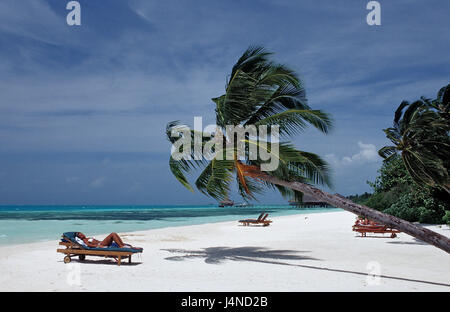 Maldives island, palm beach, transats, touristes, Banque D'Images