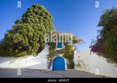 La Tunisie, Sidi Bou Saïd, maison, mur, porte, à l'extérieur, l'Afrique du Nord, place de l'artiste, village, lieu touristique, la destination, le lieu d'intérêts, de la construction, de l'extérieur, porte, bleu, couverts, les plantes, les arbres, ensoleillée, personne, Banque D'Images