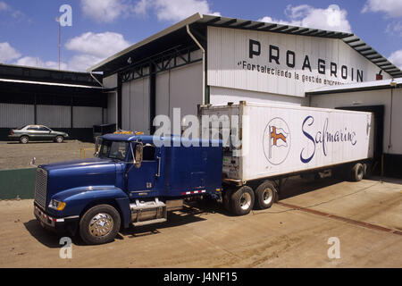 Costa Rica, hôpital, camion, ananas, transports, Banque D'Images