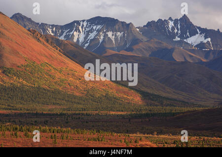 Les USA, Alaska, Zentralalaska, parc national Denali, en Alaska pour classer, coucher du soleil, Banque D'Images