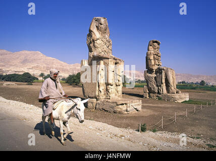 L'Egypte, Thèbes, colosses de Memnon, saigne, Luxor, statues, personnages, Memnon, statues géantes, les colosses de Memnon, incroyablement, au souffle, siège des caractères, caractères gigantesques, l'homme, locales, ride, mule, âne, point d'intérêt, l'art, de la culture, historiquement, histoire, voyages, Banque D'Images