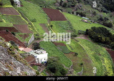 Espagne, Ténérife, dans les montagnes d'Anaga, village de montagne, les rizières en terrasse, Banque D'Images