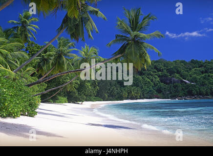 Les Seychelles, Mahe Islande, plage, palmiers, Anse la Mouche, l'état d'île, island, Mahe, coast, sandy beach, palm beach, personne, de l'eau, de toute évidence, bleu, turquoise, le repos, le silence, la solitude, la destination, vacances, paradis de vacances, plage de rêve, vacances de rêve, île paradisiaque, l'île de rêve, Banque D'Images