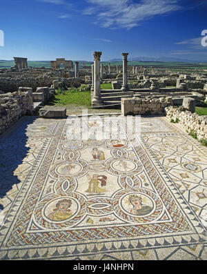 Le Maroc, Volubilis, ruine site, piliers, mosaïque, Banque D'Images